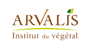 Arvalis